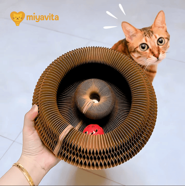 Miyavita Smart Cat Bed