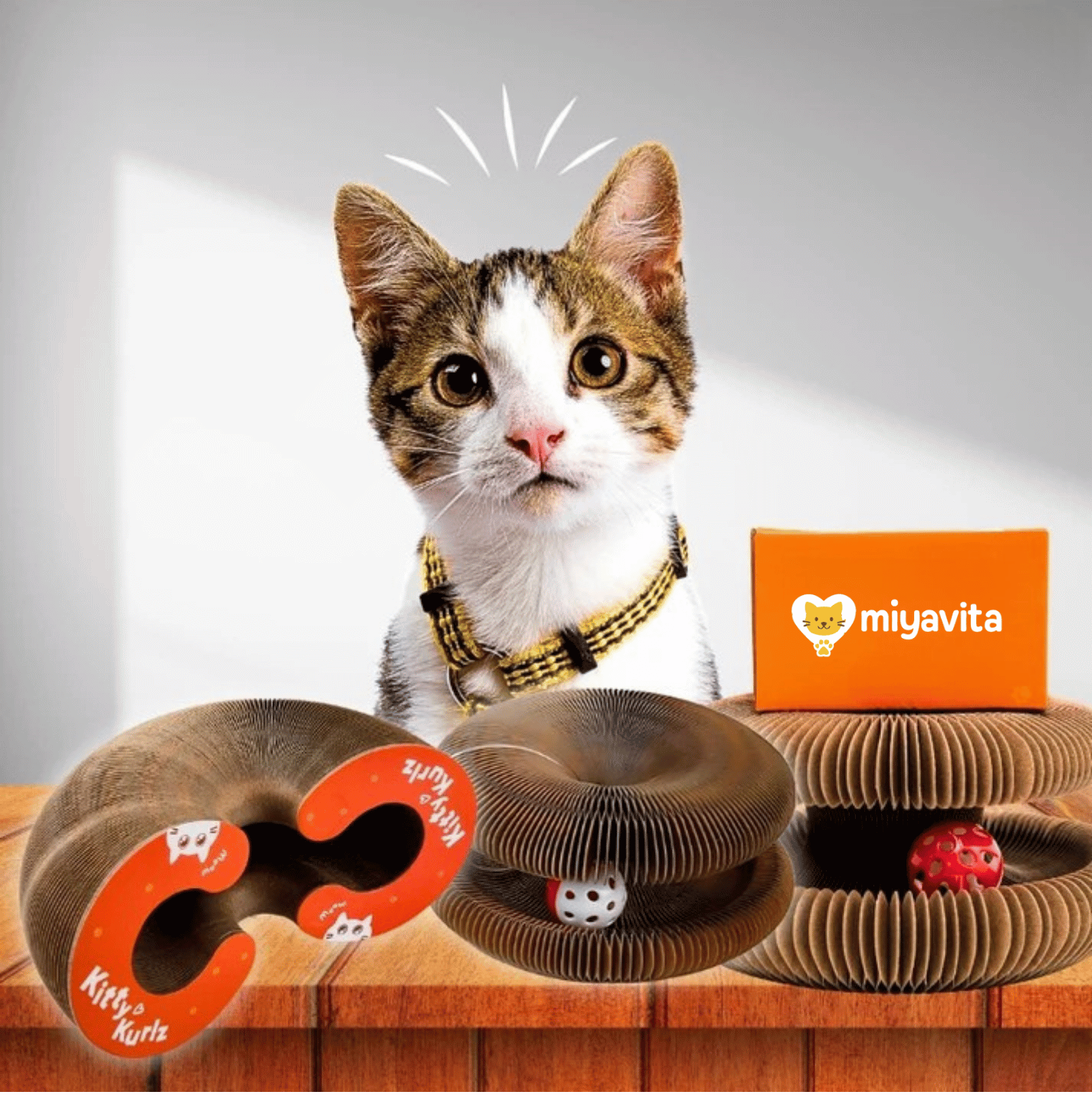 Miyavita Smart Cat Bed